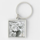 Search for zoology key rings English