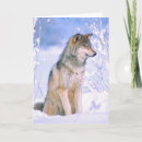 Search for timber cards Snow