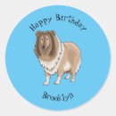 Search for rough collies stickers Pets