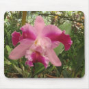 Search for cost mousepads America