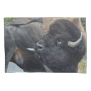 Search for bison pillowcases Wildlife