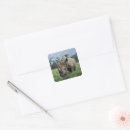 Search for rhinoceros stickers Horn