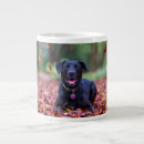 Search for black labrador coffee mugs Pet