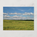 Search for wheat postcards Sky