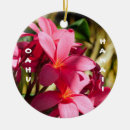 Search for plumeria christmas tree decorations Tropical