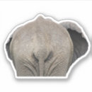 Search for tail stickers Jungle