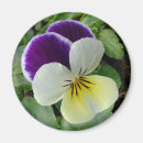 Search for violas magnets Floral