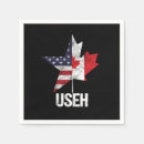 Search for us state flags United states