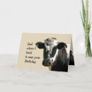 Search for funny cow birthday cards Holstein