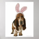 Search for easter bunny posters Dog
