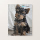 Search for yorkie puzzles Cute