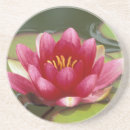 Search for seattle coasters North america
