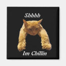 Search for chillin magnets Animal