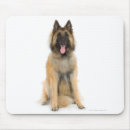 Search for shepherds photography Small business