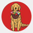 Search for golden retriever round stickers Cute