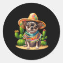 Search for mexican hat stickers Guitar