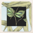 Search for dragonfly coasters Insects