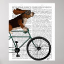 Search for bicycle posters Funny dogs