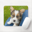 Search for lap dog mousepads Pet