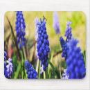 Search for hyacinth mousepads Grape