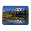 Search for jamie magnets Judy wild