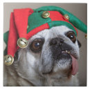 Search for tongue tiles Pug