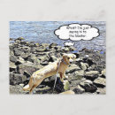 Search for funny lobster postcards Humour