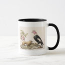 Search for humboldt mugs Animals