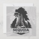 Search for sequoia cards Forest