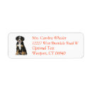 Search for mountain dog return address labels Puppy
