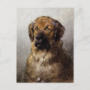 Search for dog painting postcards Portrait