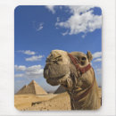 Search for cairo mousepads Pyramid
