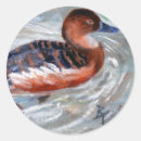 Search for duck swimming stickers Waterfowl