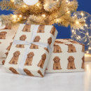 Search for funny wrapping paper Create your own