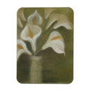 Search for arums Calla