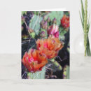 Search for southwest christmas cards Texas
