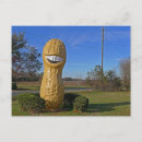 Search for offbeat postcards Quirky