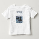 Search for ketchikan tshirts Orca