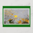 Search for promise photography Nature