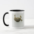 Search for tortoise shell mugs Reptiles
