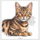 Search for brown tabby cat stickers Animal