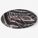 Search for guitar paper plates Band