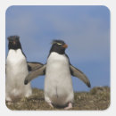 Search for falkland islands stickers Bird