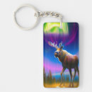 Search for the aurora borealis key rings Colourful