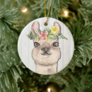 Search for llama christmas tree decorations Watercolor