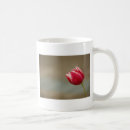 Search for red tulips mugs Flower