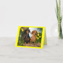 Search for dachsie cards Dashound