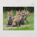 Search for think unique postcards Nature