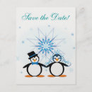 Search for penguin save the dates Bride