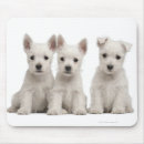 Search for brussel mousepads Dogs